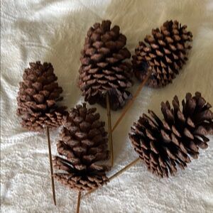 Decorative Brown Pine Cones with picks.